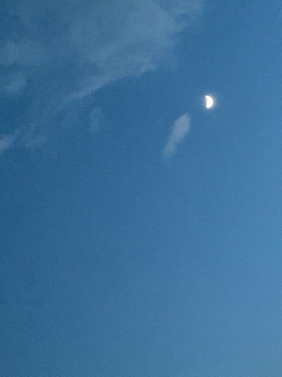 あめのような恋だった