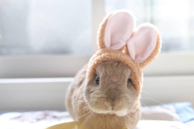 あたしのYくんwithお昼寝そんぐ