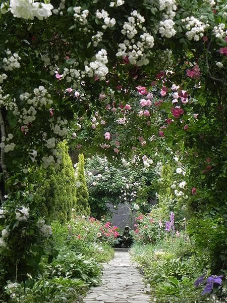 薔薇のプリンセス