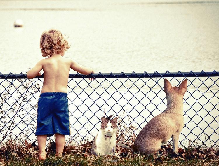 推しの王子とポンコツペット