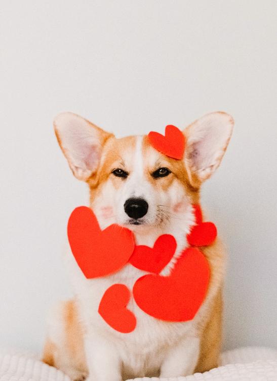 僕のキャパシティイズオーバー