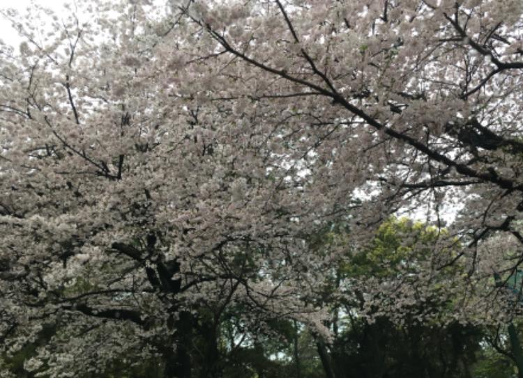 ほら、笑って笑って