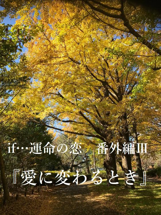 if…運命の恋　番外編Ⅲ『愛に変わるとき』