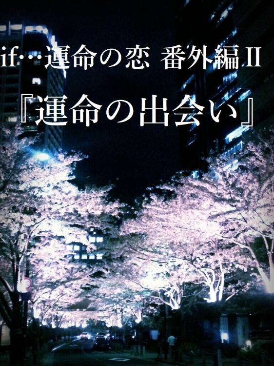 if…運命の恋　番外編Ⅱ『運命の出会い』
