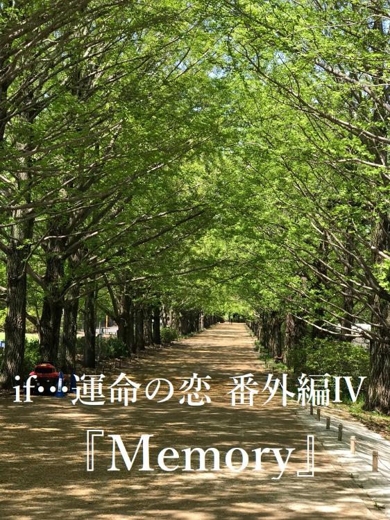 if…運命の恋　番外編Ⅳ『Memory』