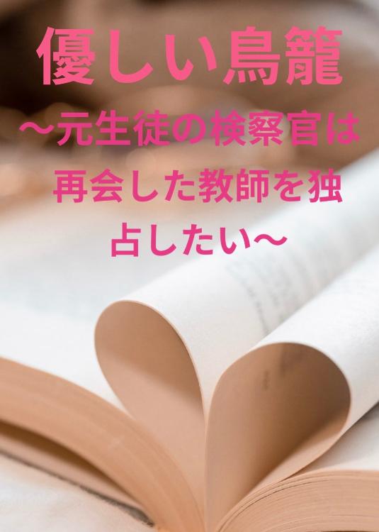 優しい鳥籠〜元生徒の検察官は再会した教師を独占したい〜