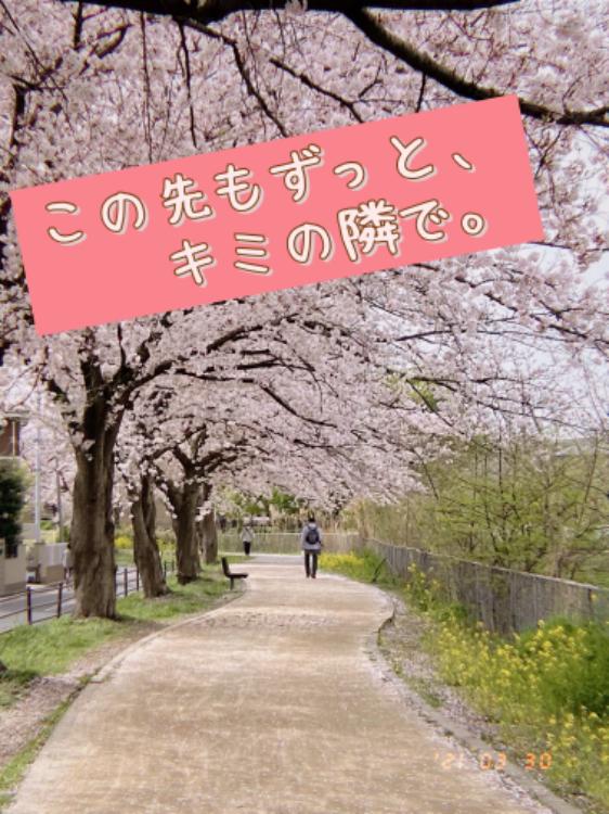 この先もずっと、キミの隣で。