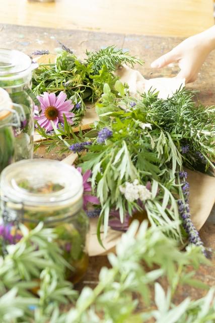 魔女ごときが魔王様をダマせるはずがない