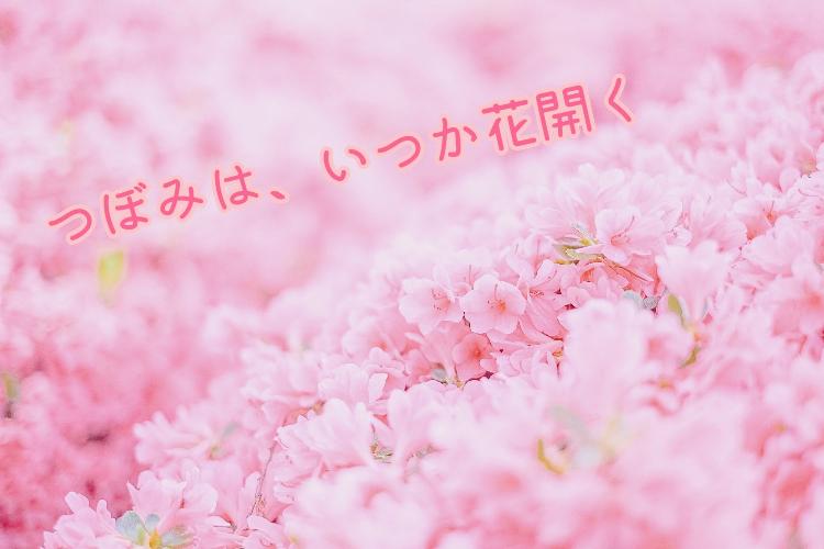 つぽみは、いつか花開く