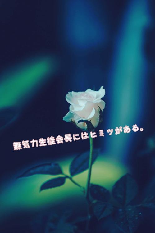 無気力生徒会長にはヒミツがある。