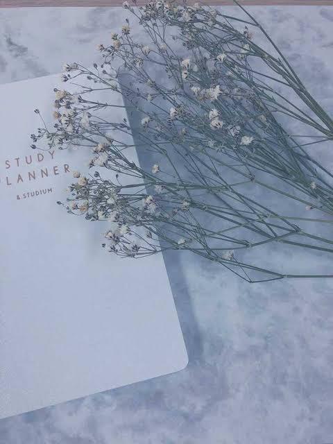 君との恋を忘れたわけじゃないから。