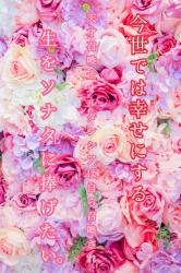 今世では幸せにする～天才召喚士オルタンシアは自ら召喚され、一生をソナタに捧げたい。