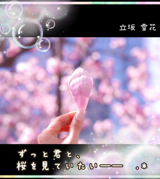 ずっと君と、桜を見ていたい――❀.*ﾟ
