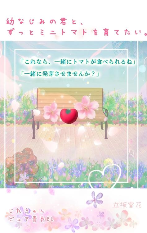 【ピュア青春BL】幼なじみの君と、ずっとミニトマトを育てたい。