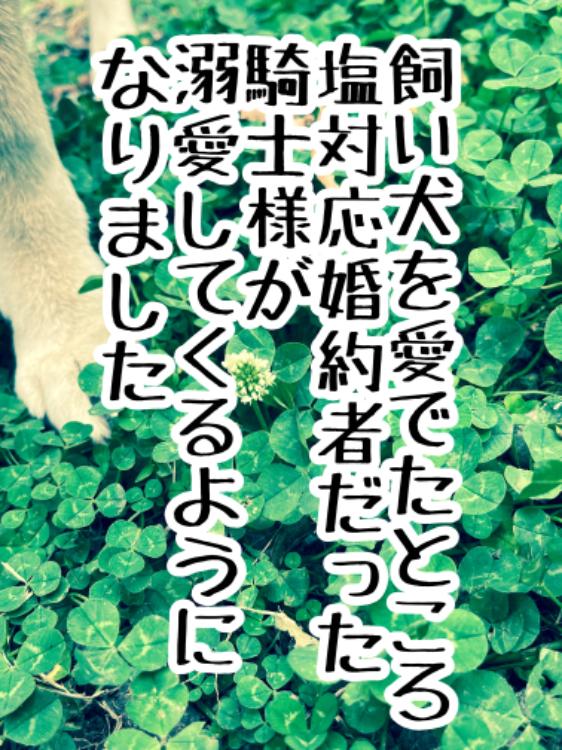 【電子書籍化】飼い犬（？）を愛でたところ塩対応婚約者だった騎士様が溺愛してくるようになりました。
