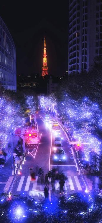 イノセント・ハンド