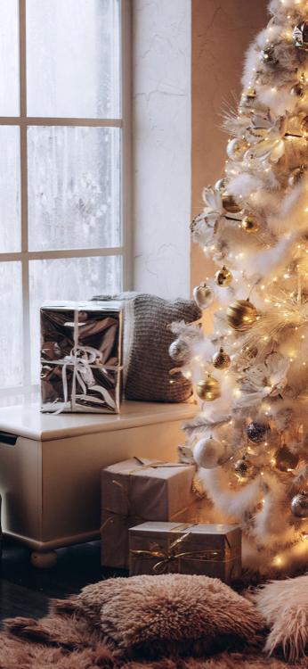 窓の中のラブストーリー