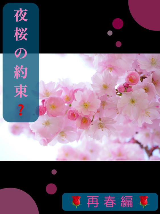 *夜桜の約束?* ―再春―