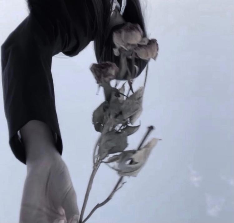 僕は今でも彼女のことが大好きだ