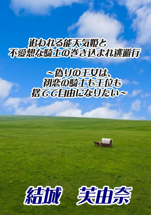 追われる能天気姫と不愛想な騎士の巻き込まれ逃避行 〜偽りの王女は、初恋の騎士も王位も捨てて自由になりたい〜