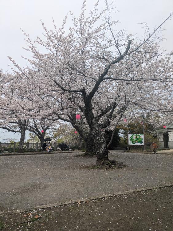 foreverlove〜時を超えて紡ぐ想い