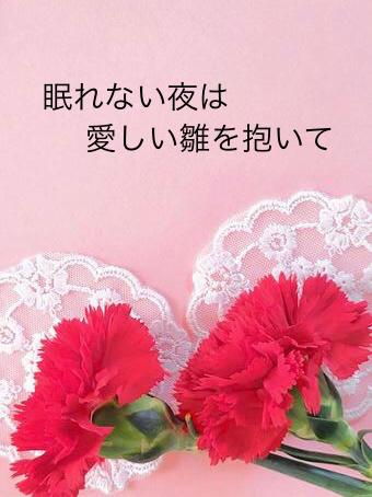 眠れない夜は愛しい雛を抱いて