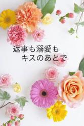 返事も溺愛もキスのあとで
