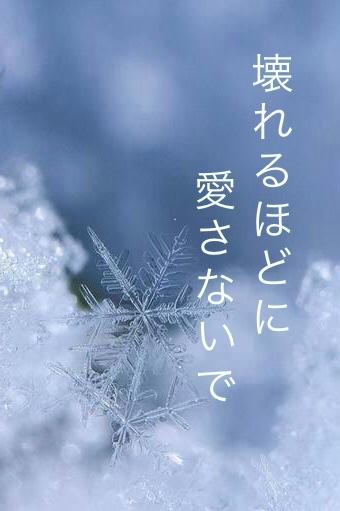 壊れるほどに愛さないで