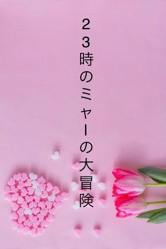 23時のミャーの大冒険