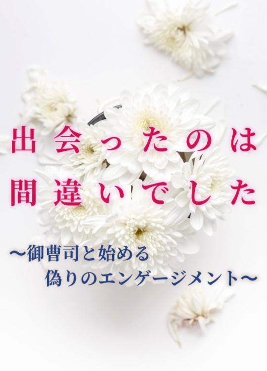 出会ったのは間違いでした　〜御曹司と始める偽りのエンゲージメント〜