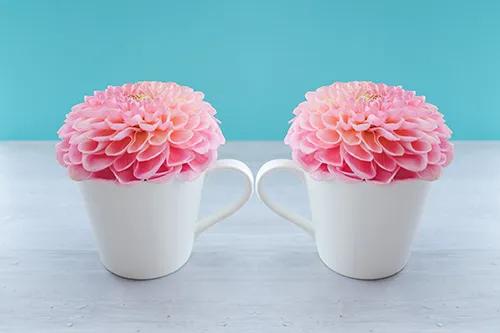 ロミオとジュリエットにはほど遠い