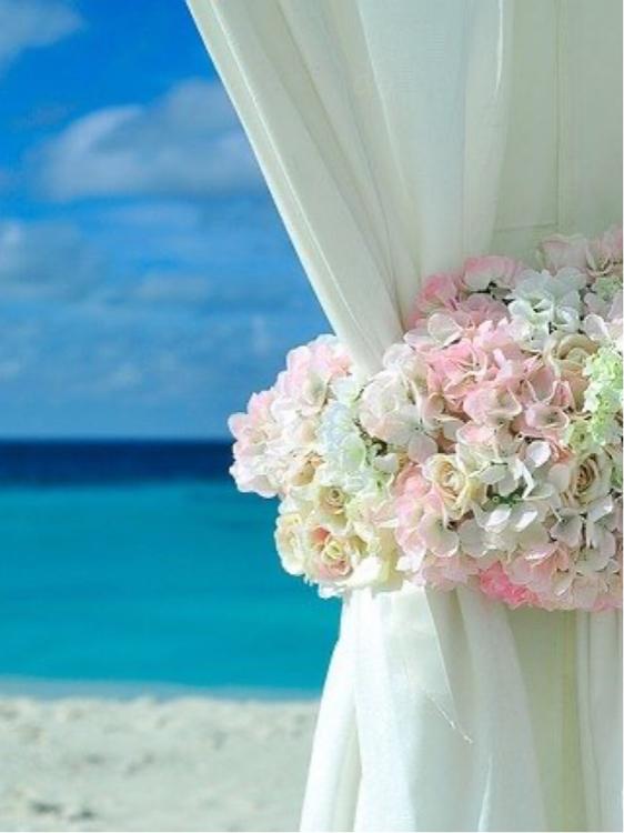 オー！マイ・ハワイ！