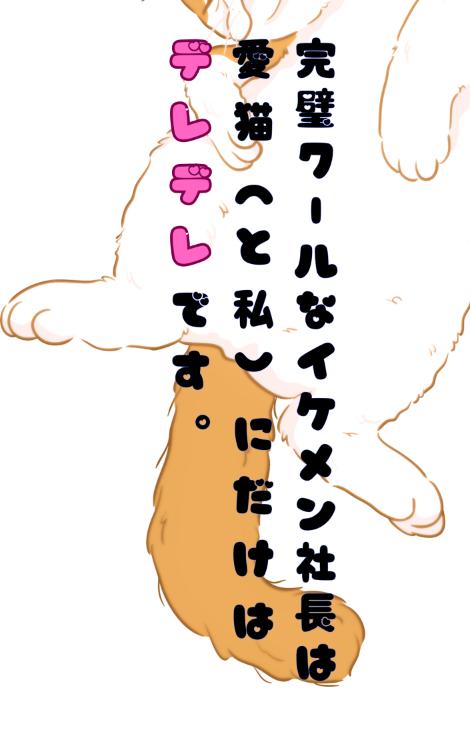 完璧クールなイケメン社長は愛猫（と私）にだけはデレデレです。