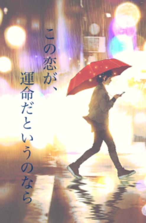 この恋が、運命だというのなら