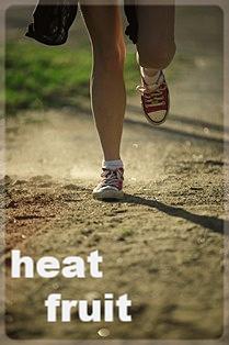 麻衣ロード、そのイカレた軌跡/補完エピソーズ集