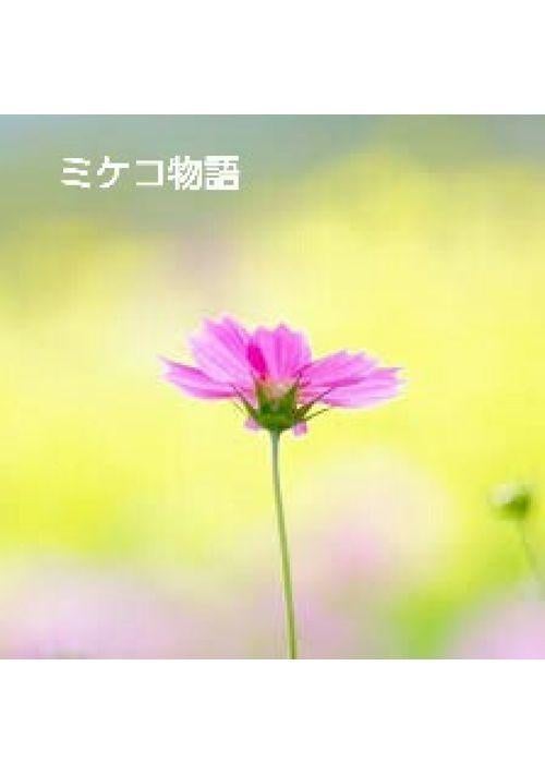 ミケコ物語