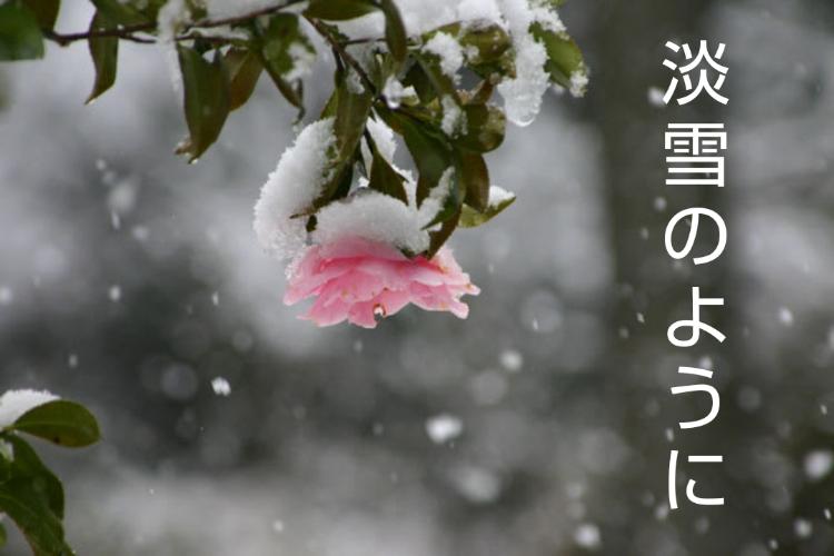 淡雪のように