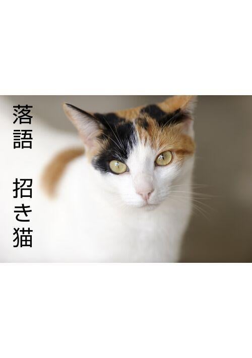 落語　招き猫