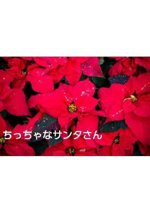 ちっちゃなサンタさん