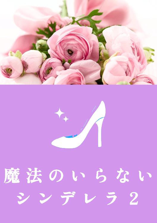 魔法のいらないシンデレラ 2