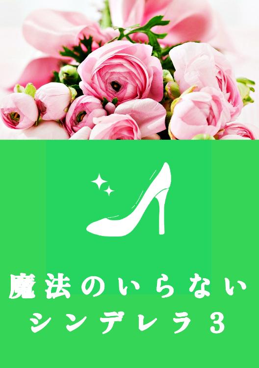 魔法のいらないシンデレラ 3