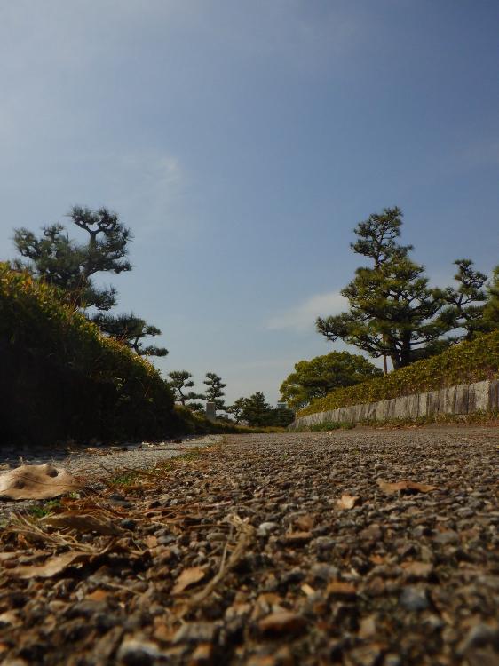 そして僕はまた君に助けられ、恋をする