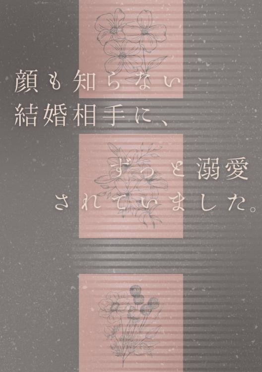 顔も知らない結婚相手に、ずっと溺愛されていました。