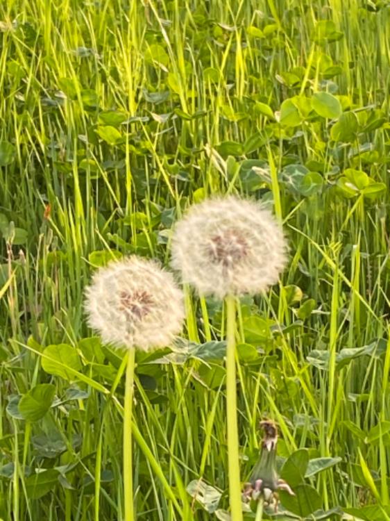 ラブ・ジェネレーション