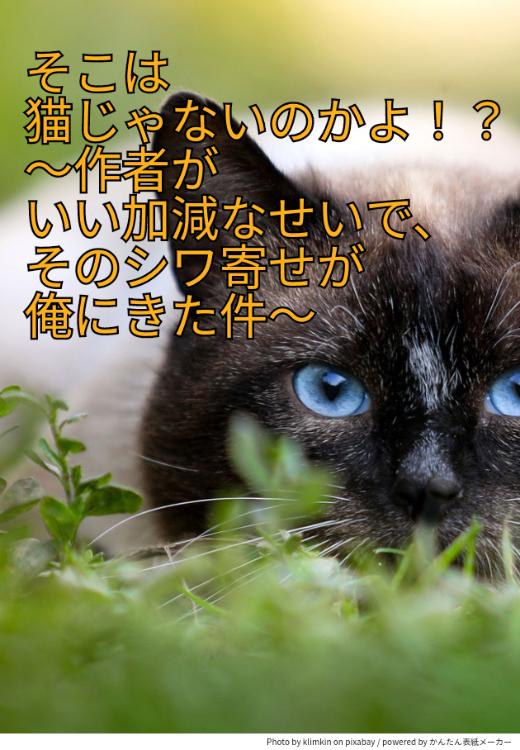 そこは猫じゃないのかよ！？～作者がいい加減なせいで、そのシワ寄せが俺にきた件～