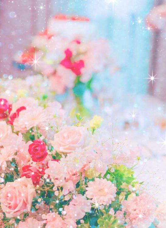 シェフな夫のおうちごはん～最強スパダリ旦那さまに捕まりました～