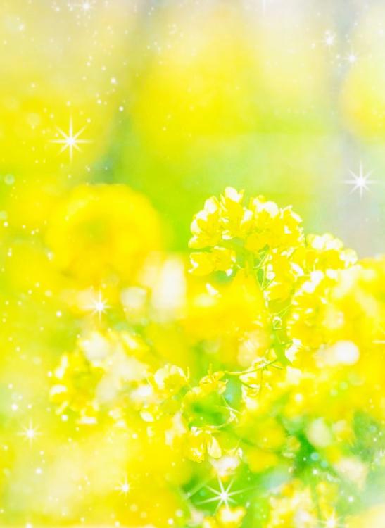 離婚を切りだしたら無口な旦那様がしゃべるようになりました