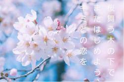 桜舞う木の下でまたはじめよう、キミとの恋を【連載2027.4～開始】