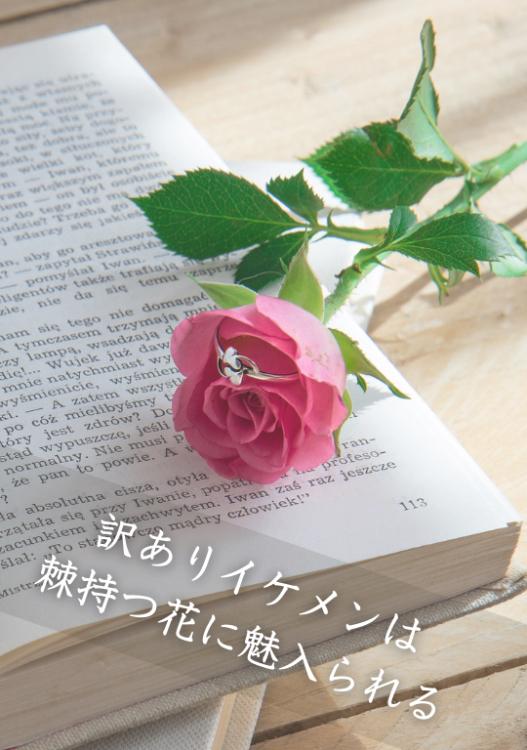 訳ありイケメンは棘持つ花に魅入られる