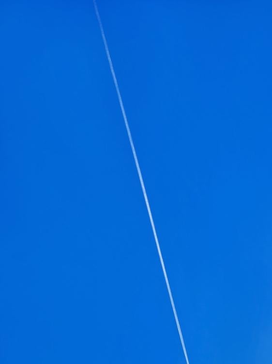 蜘蛛の糸のつづき